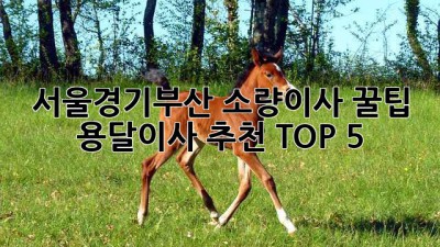 서울/경기/부산 소량이사 꿀팁🍯 용달이사 추천 TOP 5!