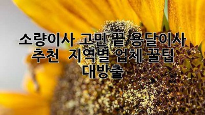 📦 소량이사 고민 끝! 용달이사 추천 & 지역별 업체 꿀팁 대방출🍯